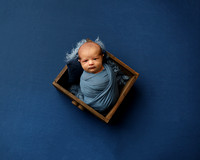 IMG_8175 copy