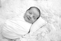 IMG_1287 copy