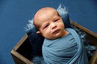 IMG_8164 copy